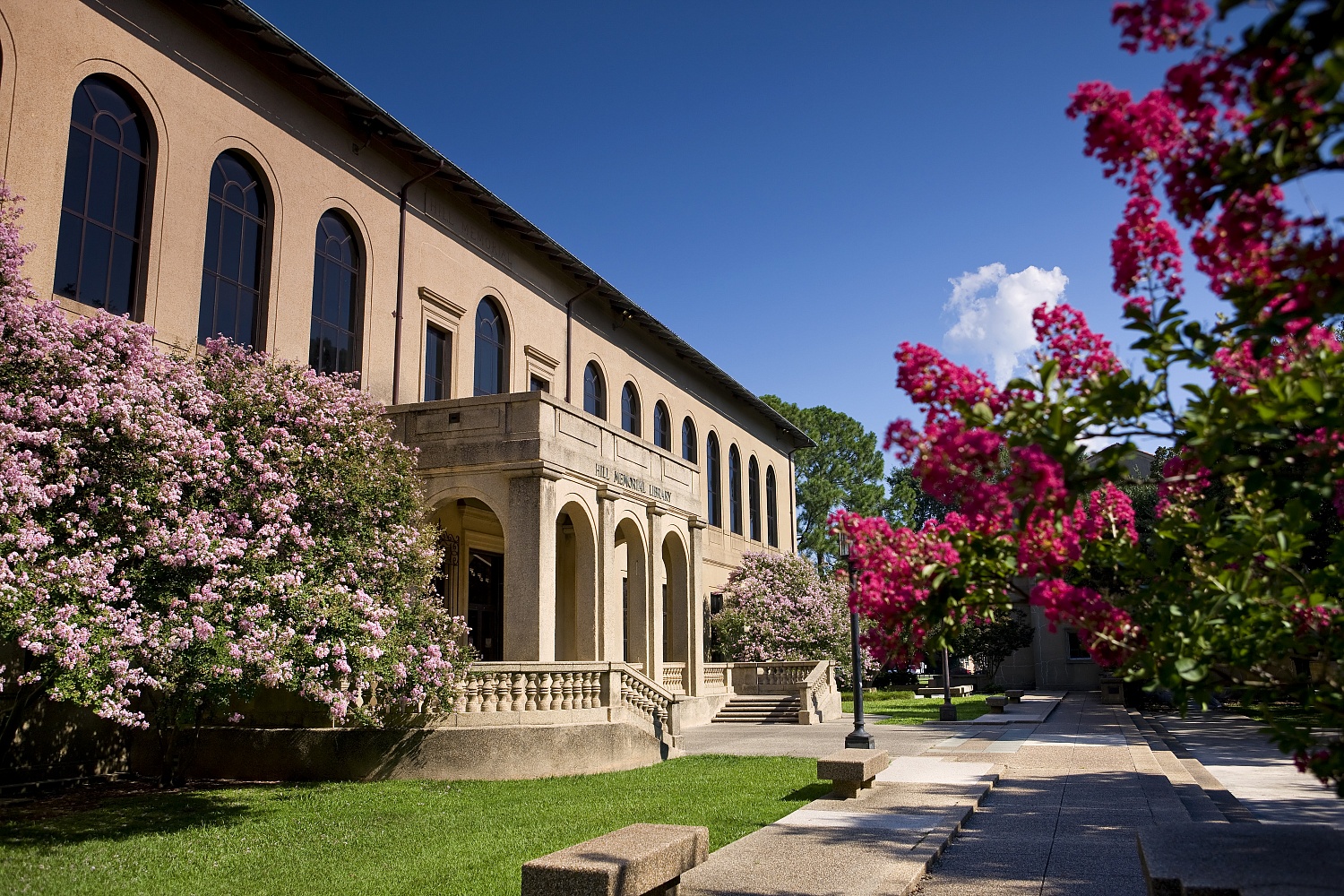 Louisiana State University