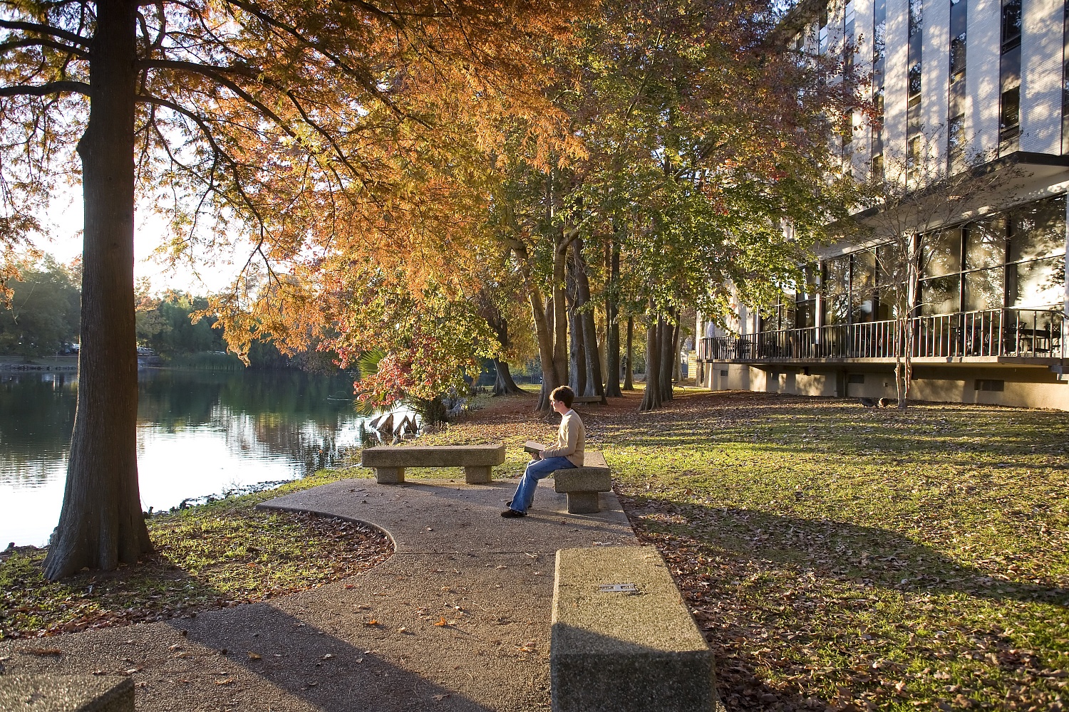 Louisiana State University