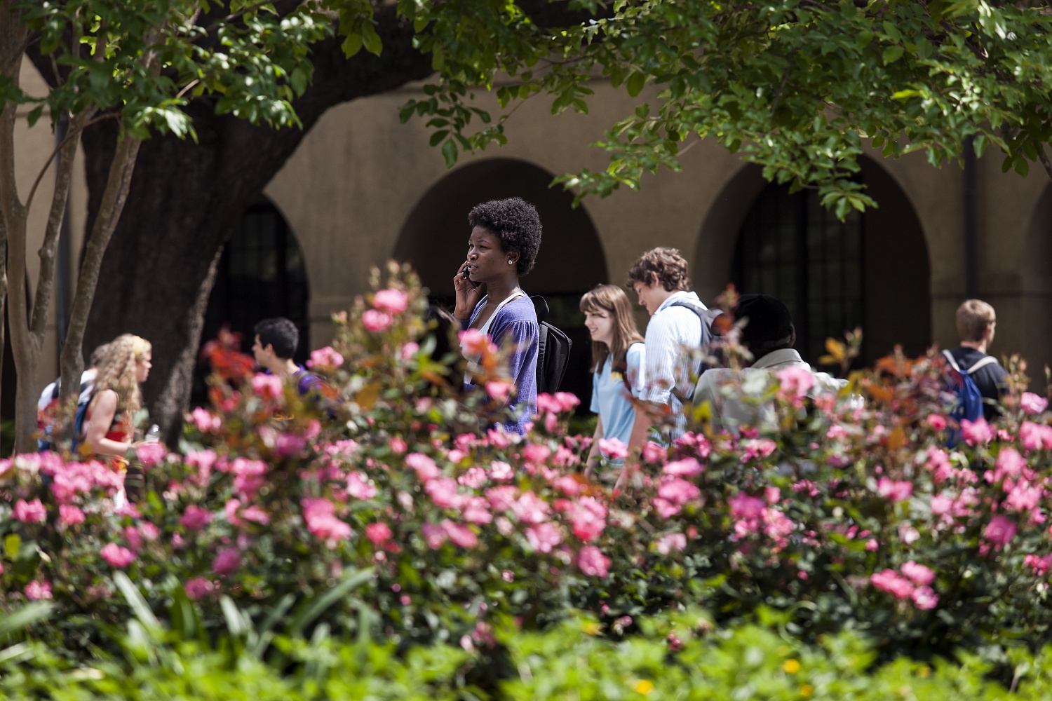 Louisiana State University