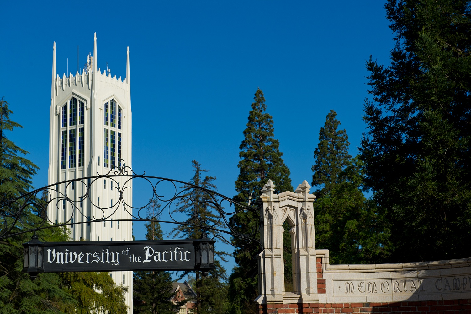 University of the Pacific