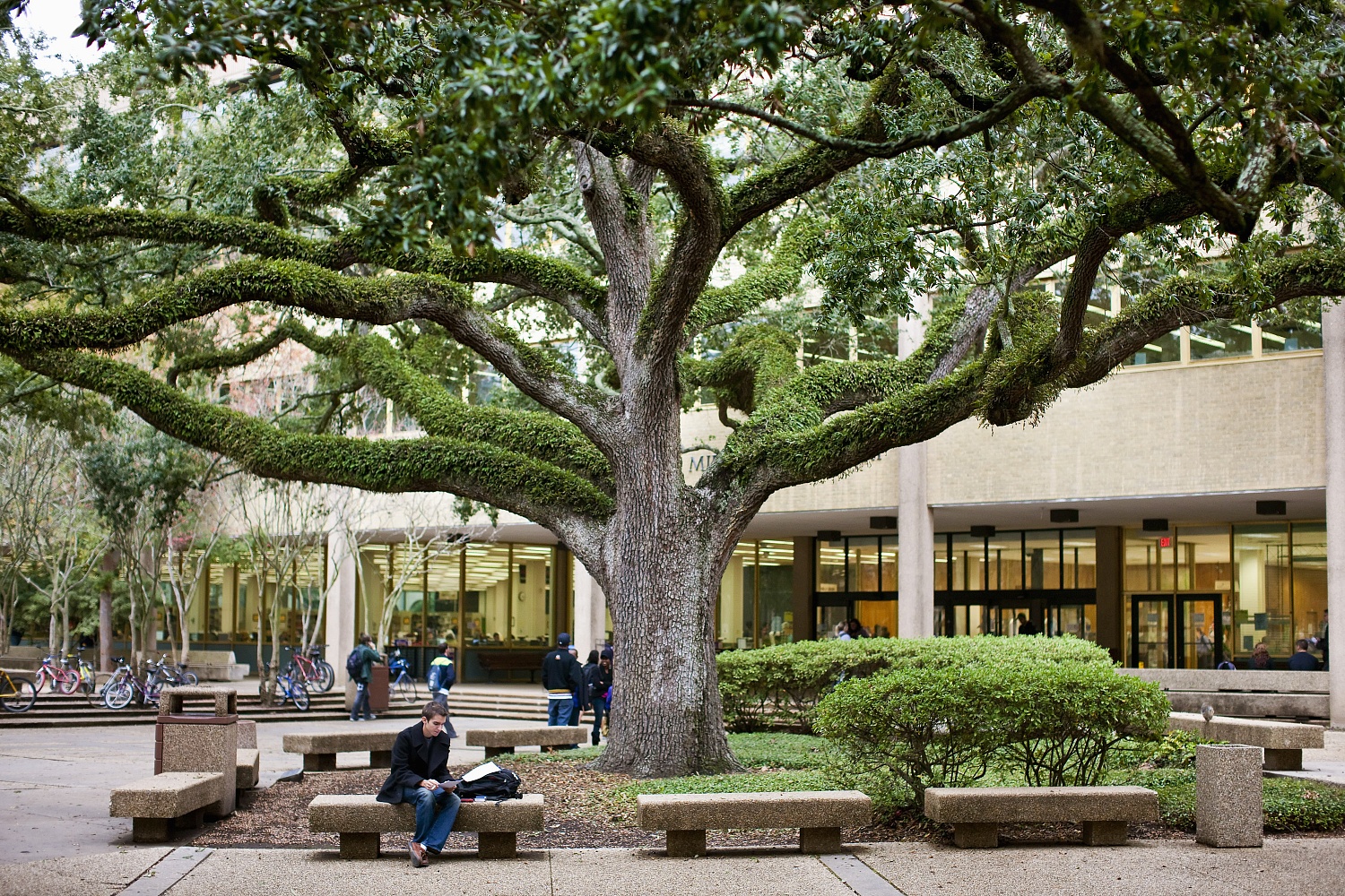 Louisiana State University