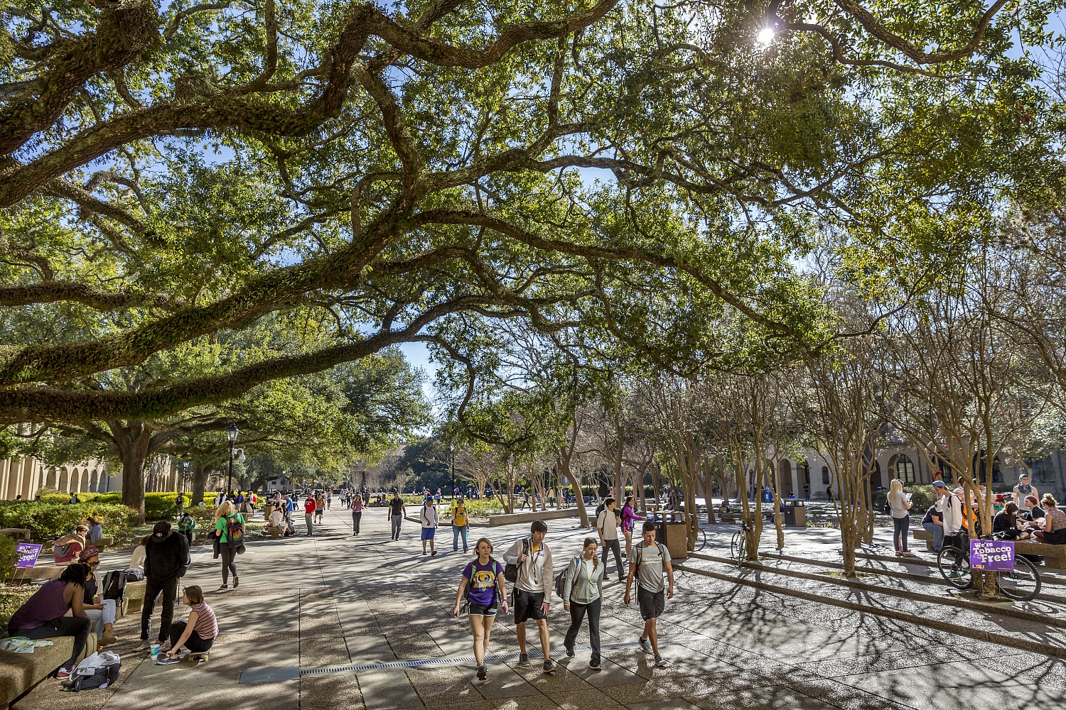 Louisiana State University