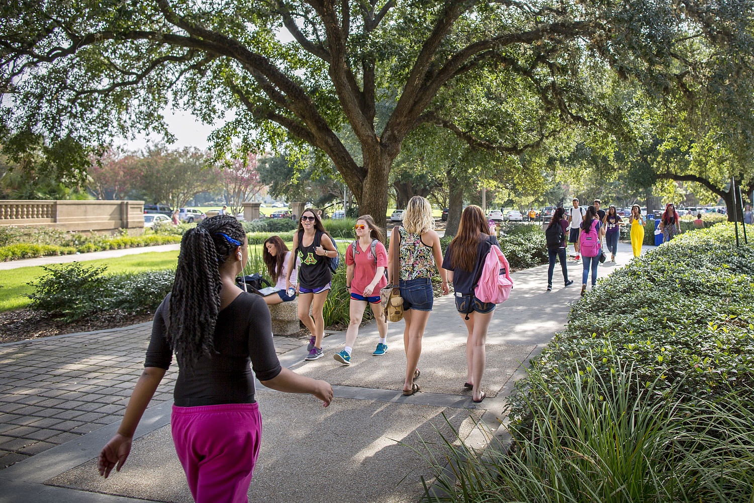 Louisiana State University