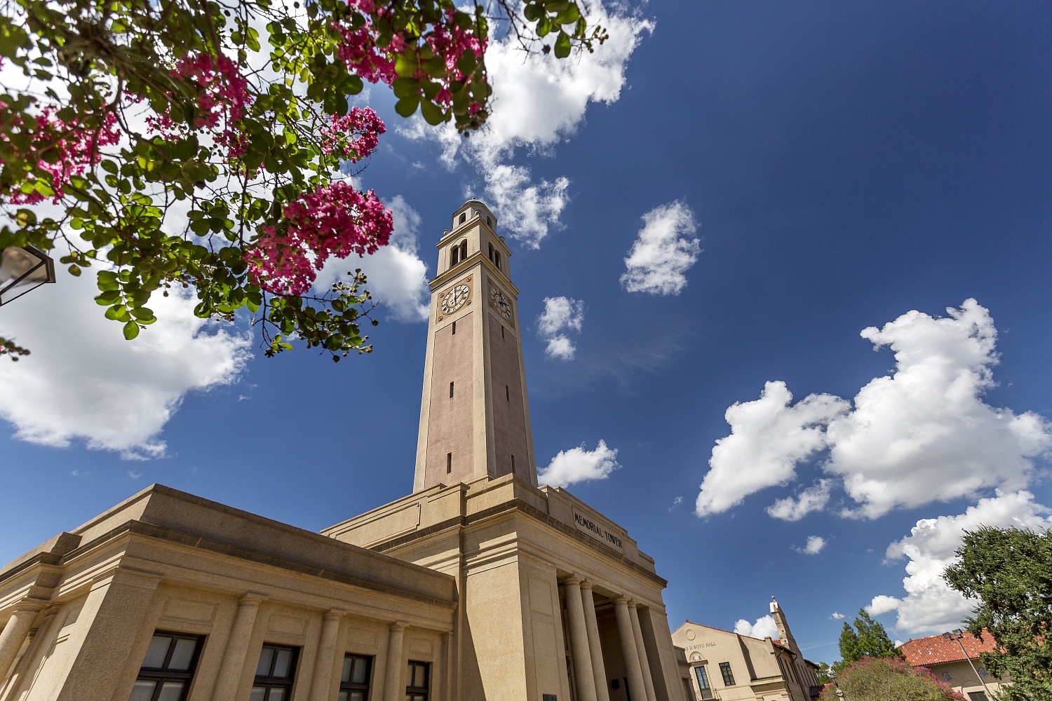 Louisiana State University