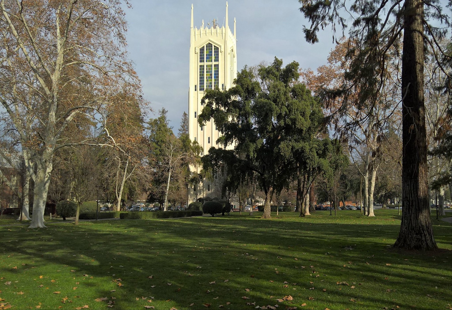 University of the Pacific